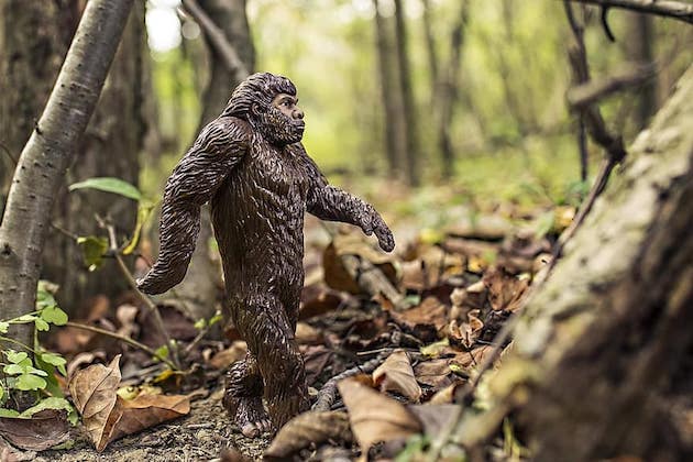 bigfoot-evolution-anthropoid-ape-neandertals-great-ape-walking-upright-neanderthals-gorilla