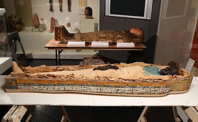 ancient-egypt-takabuti-mummy-violent-death-axe-wielding-maniac-archaeology-news-evg-2980643