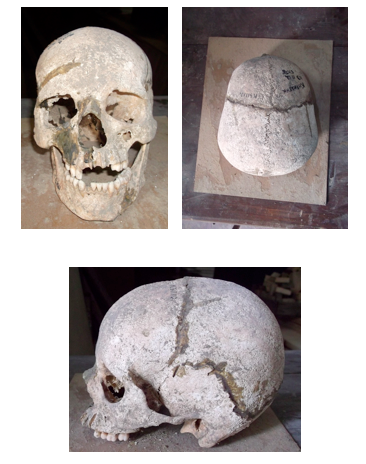 Женский череп из погребения № 12 кургана № 3  могильника Кирилены (Молдова)